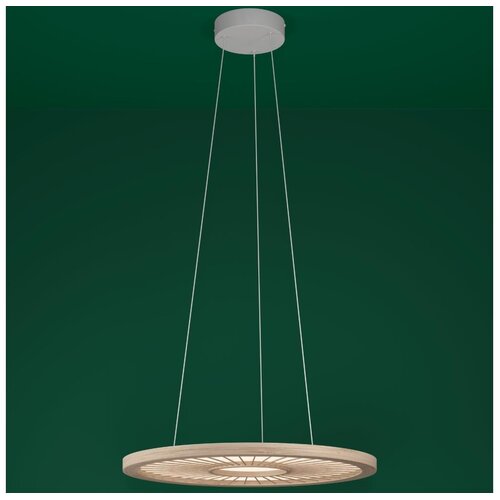 Eglo 390297 - led prigu&scaron;iva luster na sajli dehesa LED/36W/230V 4000K Cene