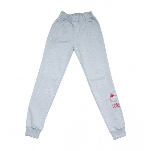 Master Trenerka dječija ženska vel.12 DŽ-89 Cijene