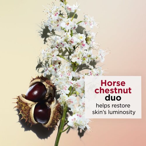 Clarins nutri-Lumière Revitalizing Day Cream okrepljujuća dnevna krema 50 ml za žene Cene
