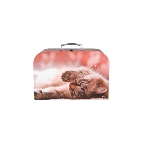 Tts Kofer za djecu Little Cat Slike