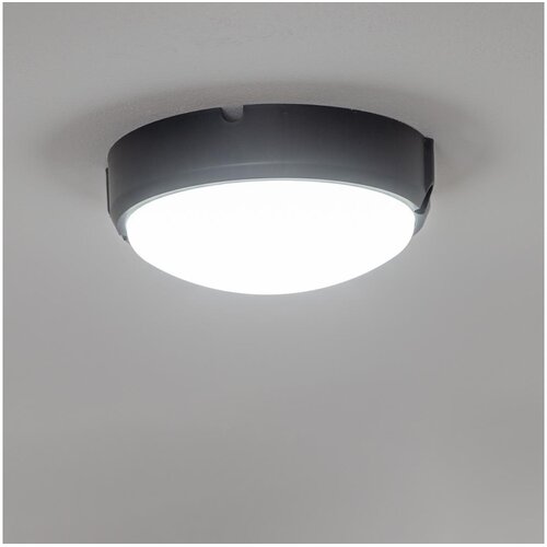  Brilagi - LED stropna industrijska svetiljka SIMA LED/12W/230V IP65 crna Cene