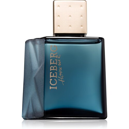 Iceberg Homme toaletna voda za mo&amp;scaron;ke 50 ml Slike