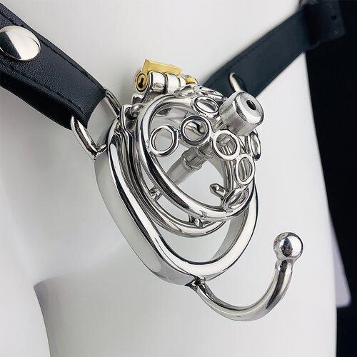 Kiotos Chastity Device Fancy with Belt Slike