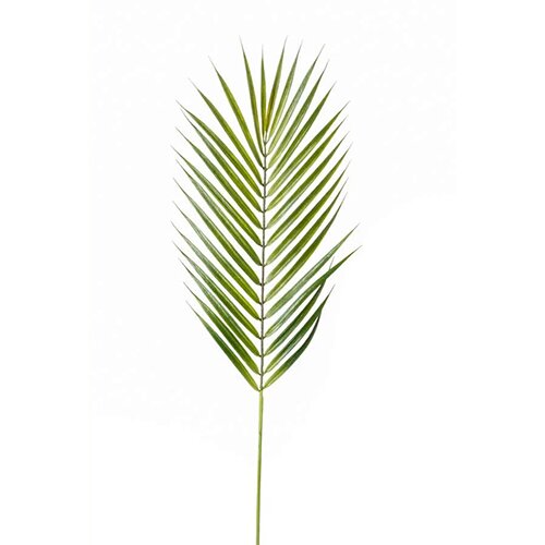  Ve&amp;scaron;tačka grana cveća Palma, 75cm Slike