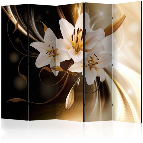  Paravan u 5 dijelova - Circle of Light II [Room Dividers] 225x172 Cijene