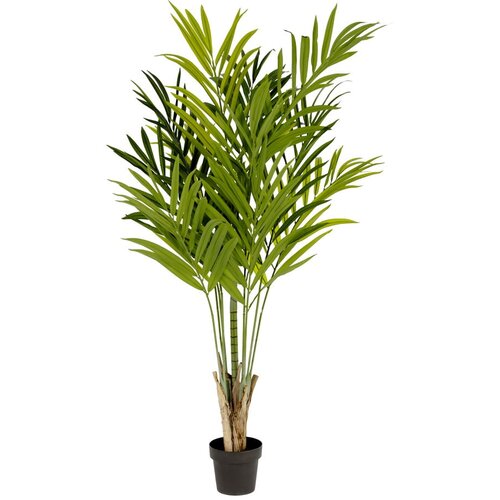 Kave Home Umjetni bambus , visina 170 cm Slike
