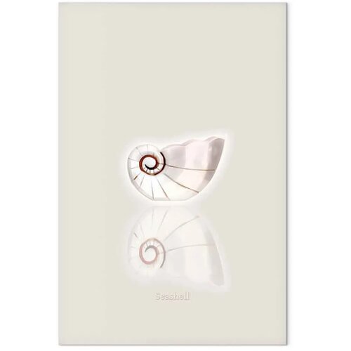  Slika - Ceramic Shell (1 Part) Vertical 60x90 Slike