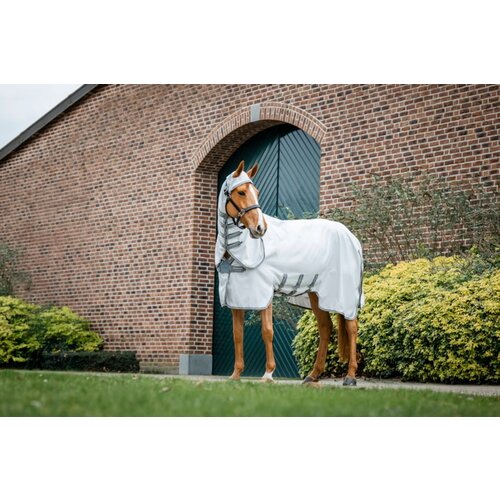 Horseware Ireland Pregrinjalo Amigo Ripstop Hoody, Silver/Titanium Grey & Silver - 140 cm Cene