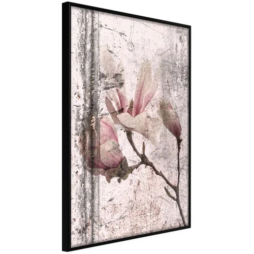  Poster - Queen of Spring Flowers III 20x30