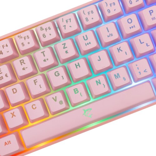 WHITESHARK Ronin GK-2201 gaming tipkovnica, HR, roza Slike