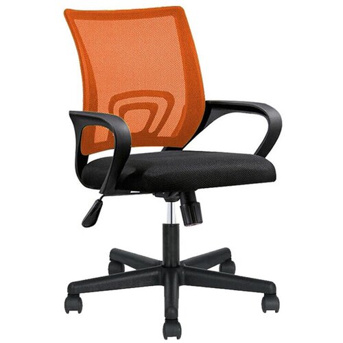 Timeless Tools Ergonomska pisarni&scaron;ka stolica z naslonjali za roke - mrežna hrbtna opora, nastavljiva vi&scaron;ina, 360&deg; vrtenje, več barv, (5000319321) Cene