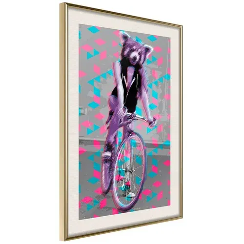  Poster - Extraordinary Cyclist 40x60