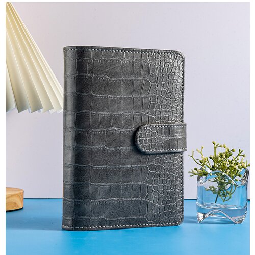 INF Cash Budget Binder Grey, (21295262) Cene
