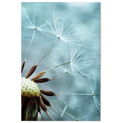  Slika - Elevation of Space (1 Part) Vertical 40x60 Cijene