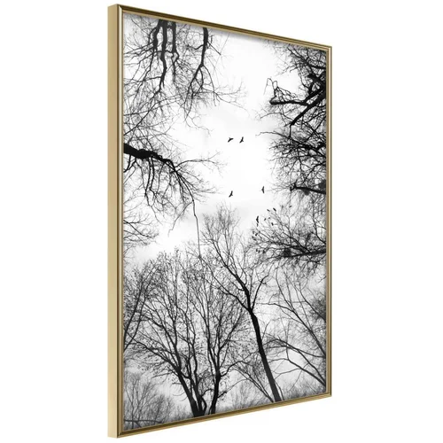  Poster - Treetops 40x60