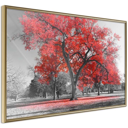  Poster - Red Tree 90x60 Slike