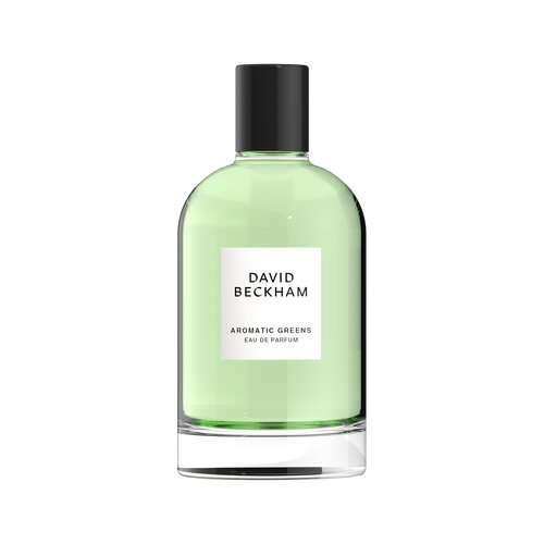 David Beckham aromatic Greens parfemska voda 100 ml za mu&amp;scaron;karce Slike