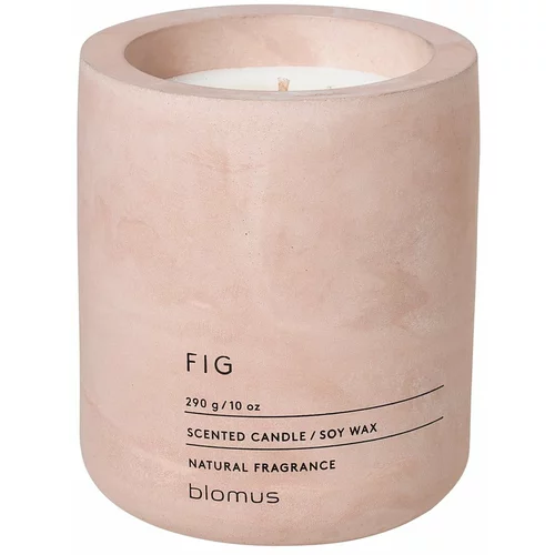 Blomus Sveča iz sojinega voska z vonjem fig Fraga, čas gorenja 55 ur
