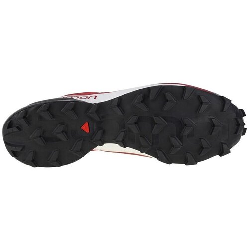 Salomon speedcross 5 gtx 416125 Cene