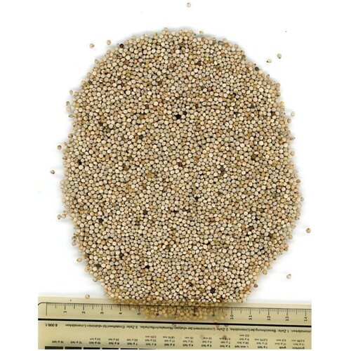 Manitoba bela perila 1 kg Slike