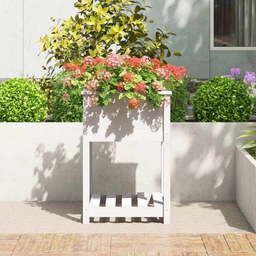  Sadilica s policom bijela 54x54x81 cm od masivne borovine Slike