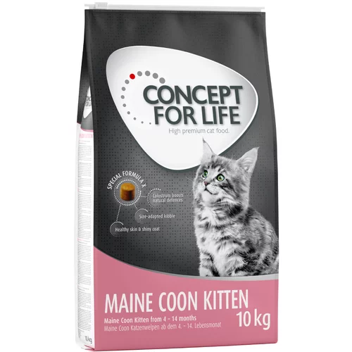 Concept for Life Maine Coon Kitten – izboljšana receptura! - Varčno pakiranje: 2 x 10 kg