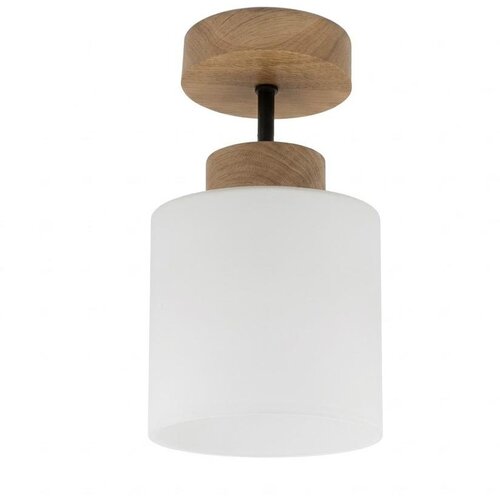 Brilagi LED plafonski luster RETRO GLASS 1xE27/60W/230V prečnik 10 cm hrast/bela Cene