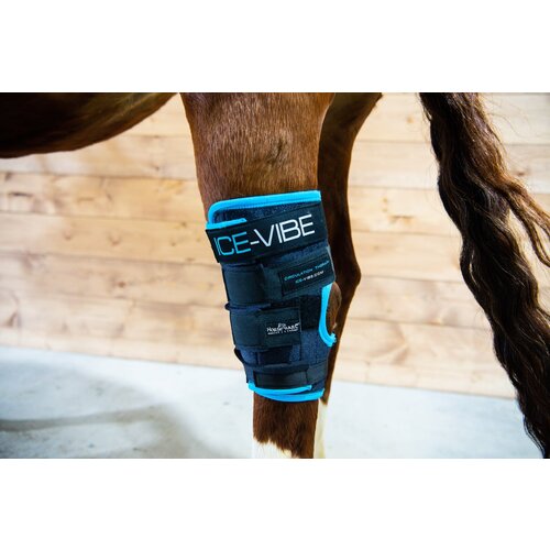 Horseware Ireland Ice-Vibe Hock Wrap Black/Auqa - 1 par Cene