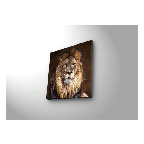 Wallity Slika na platnu sa LED osvetljenjem 40x40cm Slike
