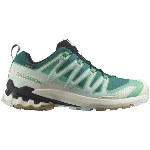 Salomon Tek & Trail Xa Pro 3d V9 Gtx pisana Cene