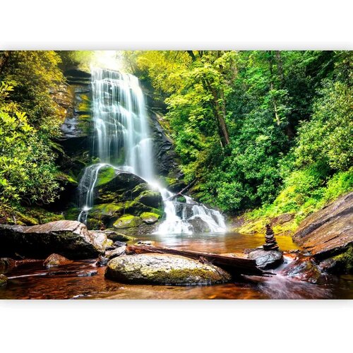  Foto tapeta - Wonder of nature 250x175 Cene