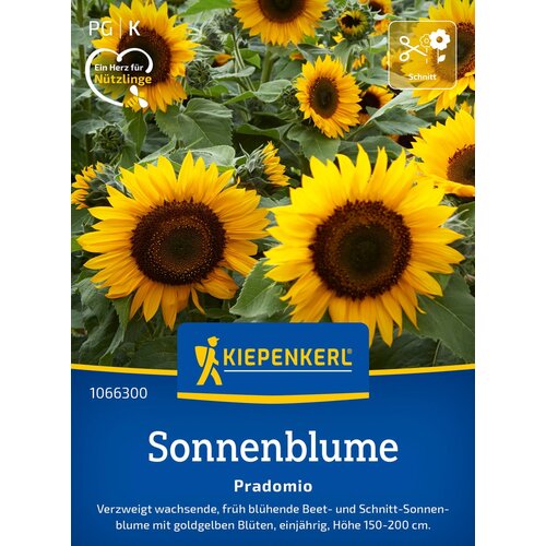 KIEPENKERL Sončnica "Pradomio" - 1 pkt. Cene