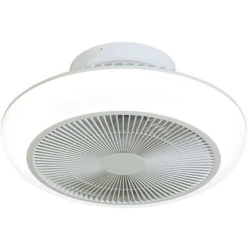SULION Bela LED stropna svetilka Enkel – Cene