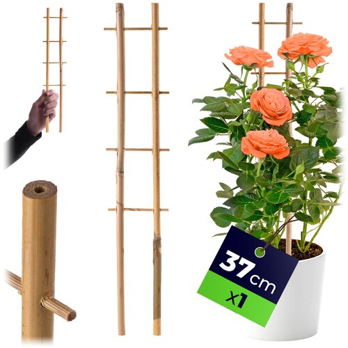 KADAX Bambusova lestev za oporo rastlin 38 cm za rože, dvojna opora, (5000362345) Cene