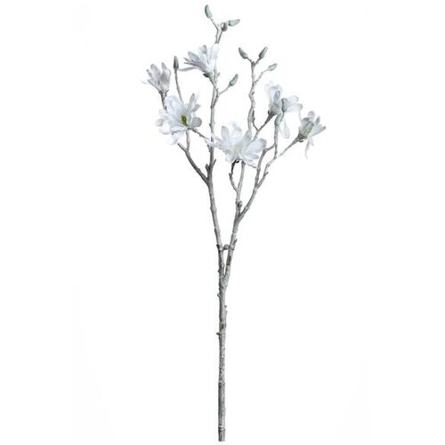 MAGNOLIJA 85CM BIJELA PALAZZO 041606 LEONARDO Slike