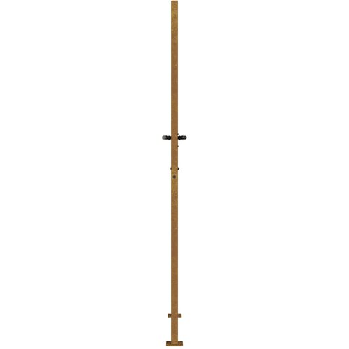  Vrtna vrata 100x175 cm Corten čelik dizajn trave Slike