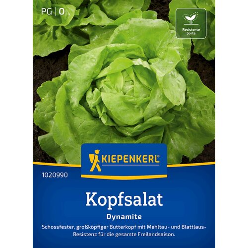 KIEPENKERL Glavnata solata Dynamite - 1 pkt. Cene