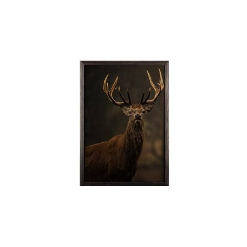 Wallity slika stag horn, 35 x 50 cm Cene