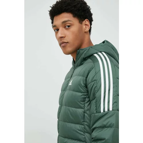 Adidas Pernata jakna za muškarce, boja: zelena, za zimu