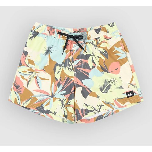 Quiksilver Everyday Printed Volley 15 Boardshorts bone white interact florl Cene