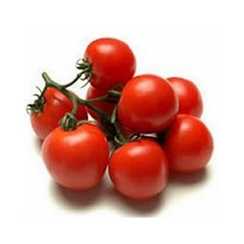 Nepoznato Paradajz cherry 1kg Cene