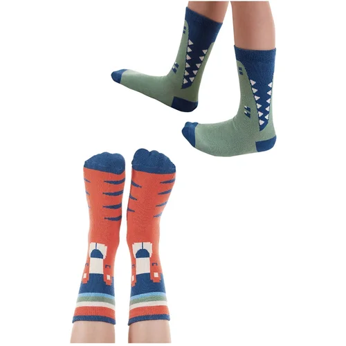 Denokids Animals Boy's 2-Piece Sock Socks