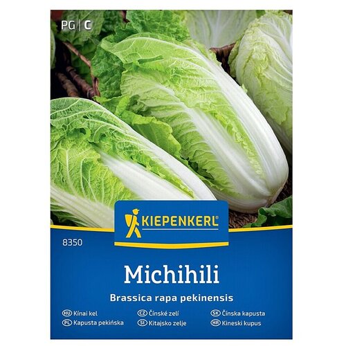 KIEPENKERL Zelenjavna semena Kitajsko zelje Michihili (Brassica rapa subsp. pekinensis, Čas žetve: September) Cene