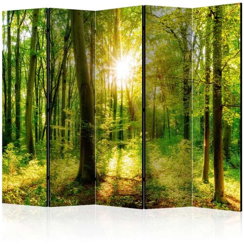  Paravan u 5 dijelova - Forest Rays II [Room Dividers] 225x172 Slike