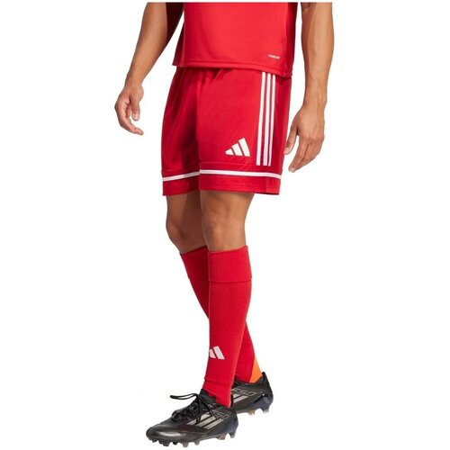 Adidas Kratke hlače &amp;amp; Bermuda Squa25 Sho M Rdeča Slike