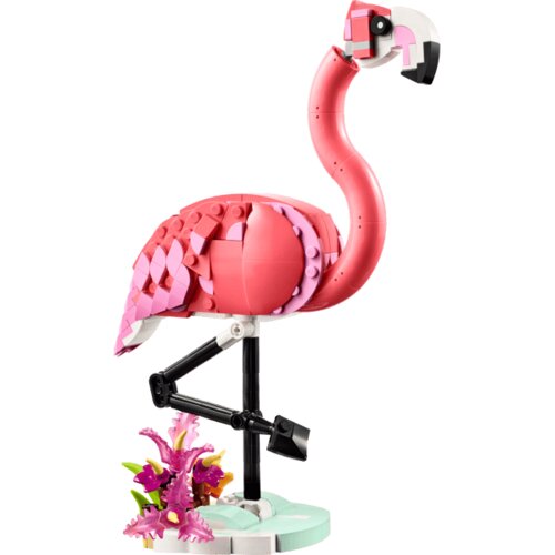  CREATOR Divlje životinje: Ružičasti flamingo Slike