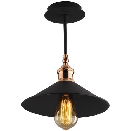 Opviq lights Crna viseća svjetiljka s metalnim sjenilom ø 24 cm Berceste – Cijene