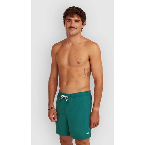 O'neill Vert 16'' Boardshorts botanical heat Cene