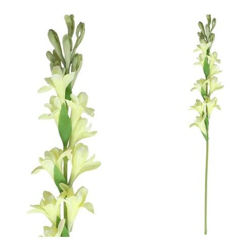  CVIJEĆE PVC 1939 Slike