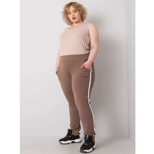 Fashion Hunters Plus size beige sweatpants with side stripes Slike